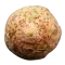 Корінь селери