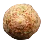 Корінь селери