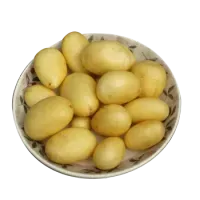 Молода картопля
