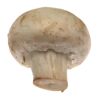 Печериці