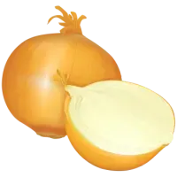 Цибуля