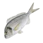 Спар (Дорада)