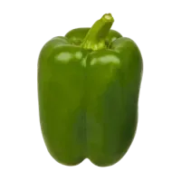 Зелений перець