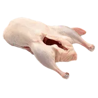 Качка