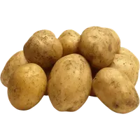Картопля