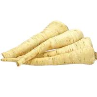 Корінь петрушки