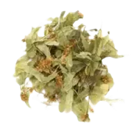 Липа (сушена)