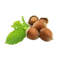 Лісові горіхи