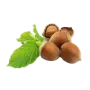 Лісові горіхи