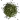 Зелена цибуля