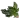 Шпинат