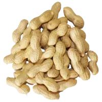 Арахіс
