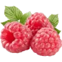 Малина
