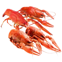 Річкові раки