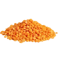 Сочевиця червона