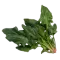 Шпинат
