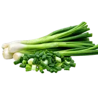 Зелена цибуля