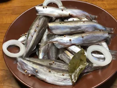 Маринована мойва