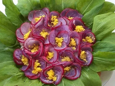 Фото: Салат фіалка